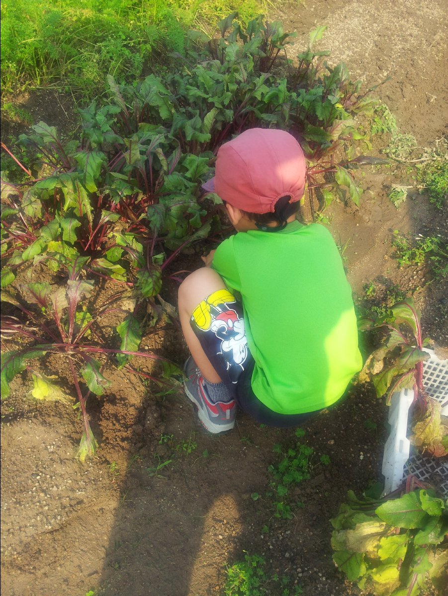 20120422Organic Farm22